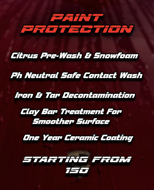 PAINT PROTECTION PACKAGE