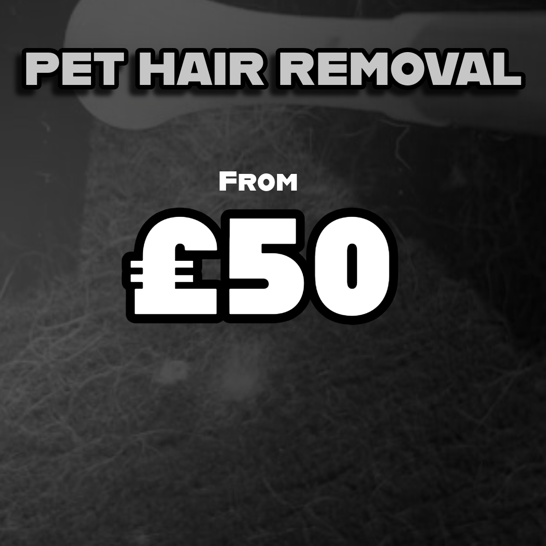 PET HAIR REMOVAL