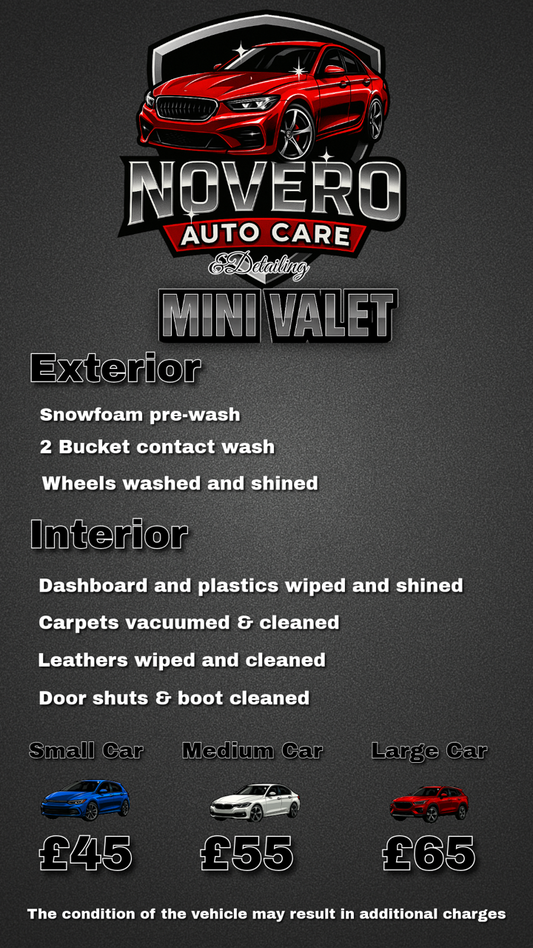MINI VALET
